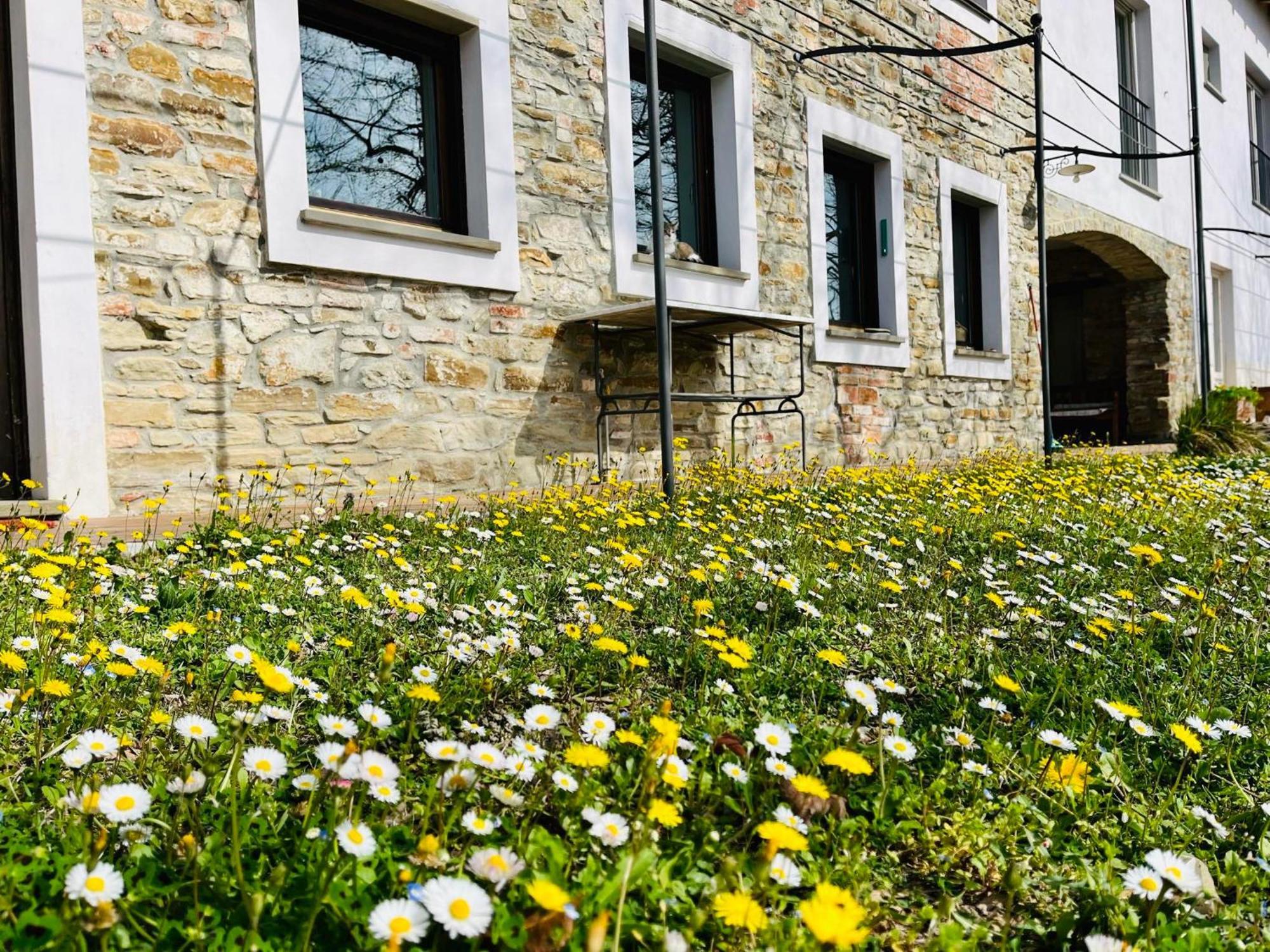 B&B Al Giardino Dei Mandorli Prasco Екстер'єр фото