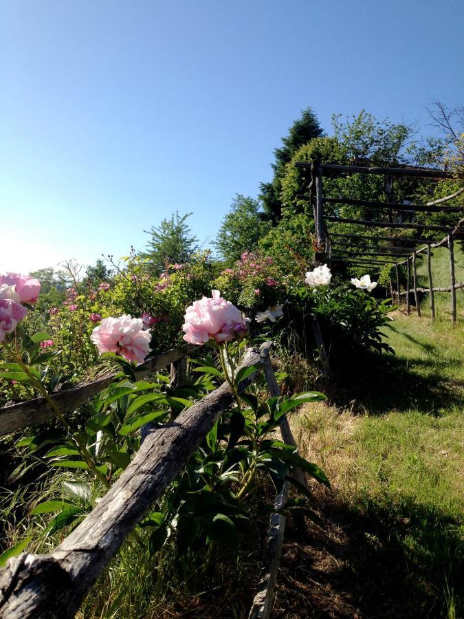 B&B Al Giardino Dei Mandorli Prasco Екстер'єр фото
